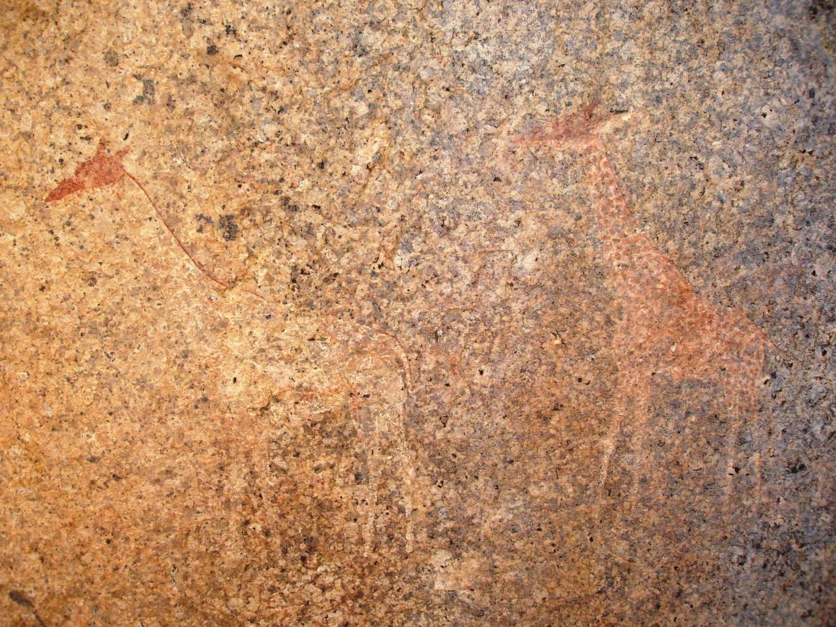 Ai Aiba - The Rock Painting Lodge Omaruru Eksteriør bilde