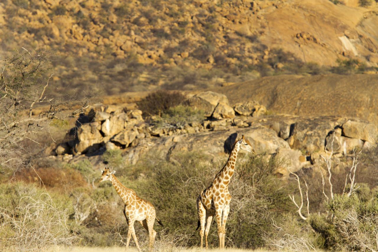 Ai Aiba - The Rock Painting Lodge Omaruru Eksteriør bilde